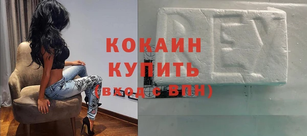 шишки Инта