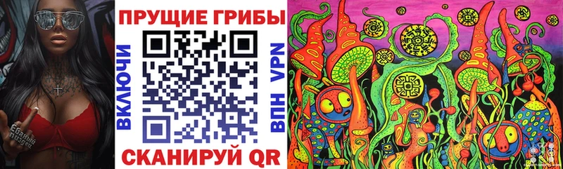 Псилоцибиновые грибы ЛСД  Курильск 